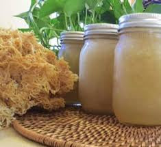 Raw Organic Seamoss